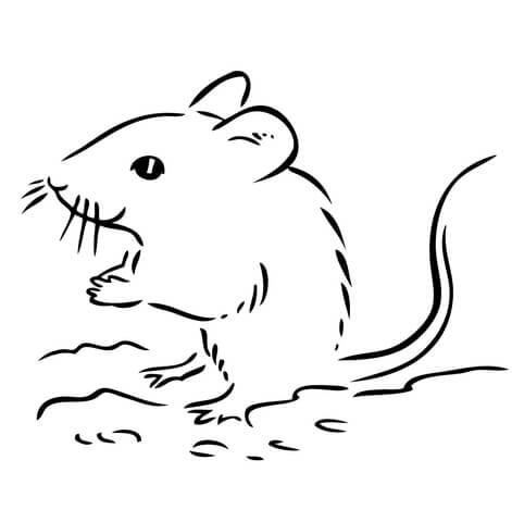 Cute Deer Mouse Coloring Page